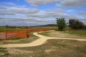 BRZYSZÓW – ZAGOSPODAROWANY TEREN WOKÓŁ STAWU