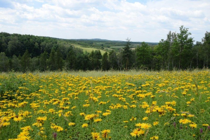 2016-07-5geo-02.jpg