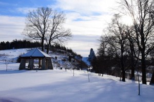 NA SPACERY I SNOWBOARD DO MSTOWA