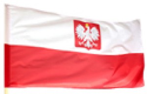 1 9 8 9
