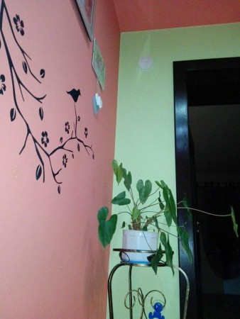 Plik graficzny o nazwie: https://www.mstow.pl/media/2017/news-03/news-2017-03-08-04_m.jpg