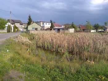 Zagospodarowanie terenu wokół zbiornika wodnego w Cegielni