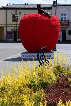 Plik graficzny o nazwie: https://www.mstow.pl/media/2017/news-08/05jablkowy-gigant-z-nowa-skorka_m.jpg