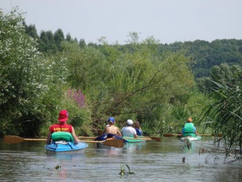 Spływy kajakowe Mstów