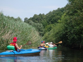 Spływy kajakowe Mstów