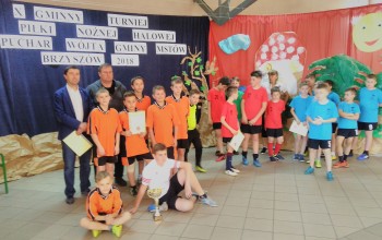 Plik graficzny o nazwie: https://www.mstow.pl/media/2018/news-05/brz3_m.jpg