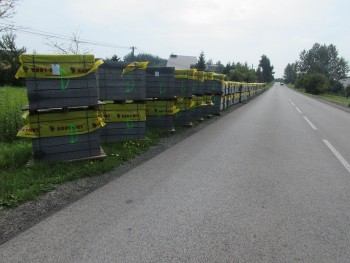 Plik graficzny o nazwie: https://www.mstow.pl/media/2018/news-08/w2_m.jpg