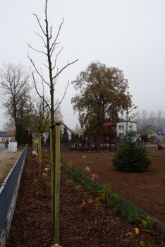 Plik graficzny o nazwie: https://www.mstow.pl/media/2018/news-10/m52_m.jpg