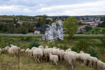 Plik graficzny o nazwie: https://www.mstow.pl/media/2018/news-10/o2_m.jpg