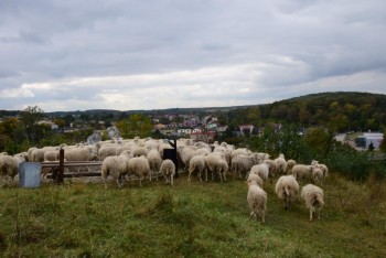Plik graficzny o nazwie: https://www.mstow.pl/media/2018/news-10/o5_m.jpg