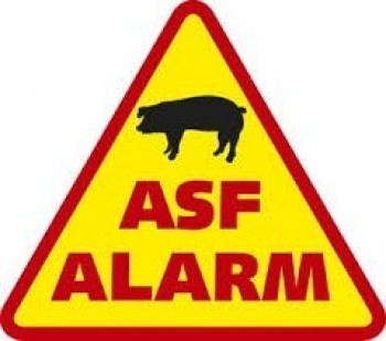 Informacja w sprawie ASF