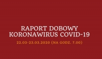 raport-dobowy
