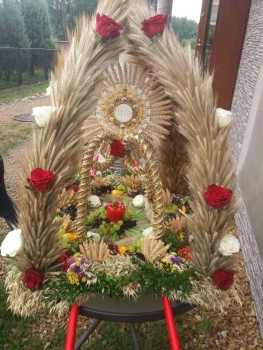 Plik graficzny o nazwie: https://www.mstow.pl/media/2020/news-08/kobylczyce2_m.jpg