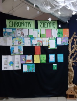 Chronmy-ziemie-zdjecie-2