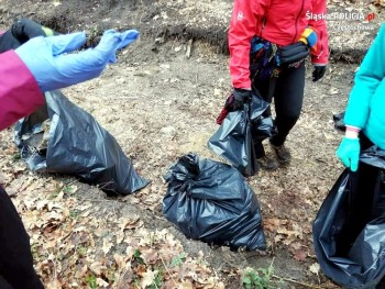 Plik graficzny o nazwie: https://www.mstow.pl/media/2021/news-04/sprzatanie_2_m.jpg