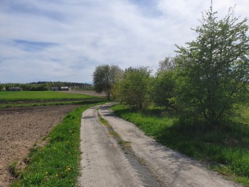 Plik graficzny o nazwie: https://www.mstow.pl/media/2021/news-05/latosowka2_m.jpg