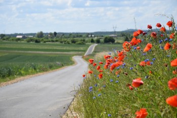 Nowe nakładki bitumiczne w Małusach Małych i w Kucharach