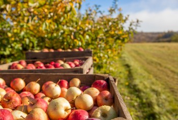 Plik graficzny o nazwie: https://www.mstow.pl/media/2021/news-10/250615567_4735087309869649_2691092384810762765_n_m.jpg