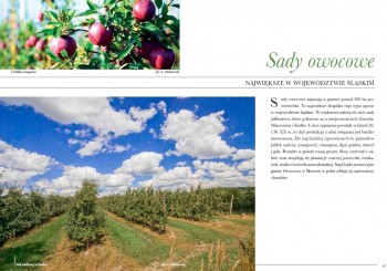 Plik graficzny o nazwie: https://www.mstow.pl/media/2021/news-11/7sady-owocowe_m.jpg