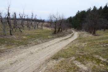 mstow_szlak_0