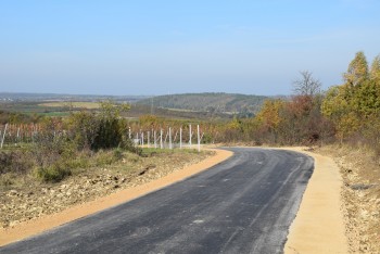 mstow_szlak_11