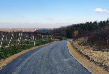 mstow_szlak_1