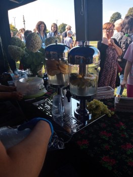 Plik graficzny o nazwie: https://www.mstow.pl/media/2023/news-08/pielgrzymka_26_Kgw-Kobylczyce_4_m.jpg