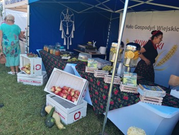 Plik graficzny o nazwie: https://www.mstow.pl/media/2023/news-08/pielgrzymka_26_Kgw-Kobylczyce_5_m.jpg