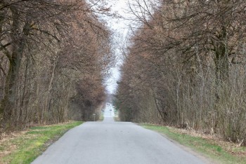 Uporządkowanie pasa drogi gminnej Krasice-Zawada