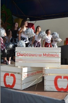 Festyn Rodzinny w Zespole Szkół w Mstowie 2017