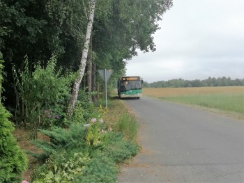 Komunikacja autobusowa GZK na Latosówce