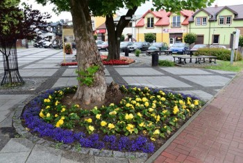 Kwiecisty rynek w Mstowie