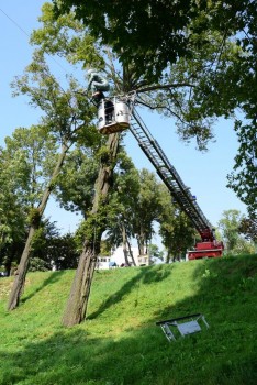 Balansująca rzeźba zawisła we Mstowie