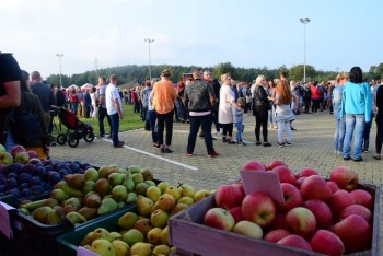 "Święto Jabłka 2018" - fotorelacja