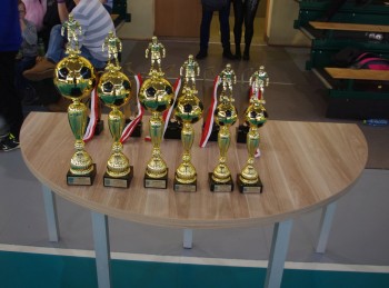 VII Halowy Turniej o Puchar Wójta Gminy Mstów - 16.02.2019
