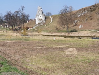 Oczyszczenie terenu rekreacyjnego przy Skale Miłości