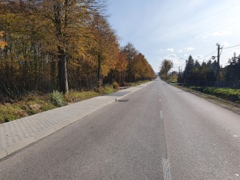 Przebudowa drogi  powiatowej 1060S na odcinku Rudniki - Wancerzów