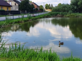 Ogrodzenie zbiornika wodnego w Małusach Wielkich