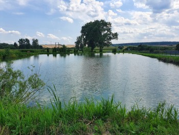 Ogrodzenie zbiornika wodnego w Małusach Wielkich