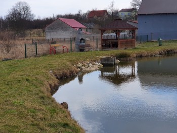 Chodnik przy zbiorniku wodnym w Mokrzeszy