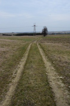 Droga transportu rolnego w Małusach Wielkich