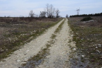 Droga transportu rolnego w Małusach Wielkich