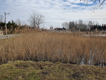 Oczyszczenie zbiornika wodnego w Kobyłczycach -