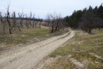 Przebudowa drogi transportu rolnego w Mstowie - 2022