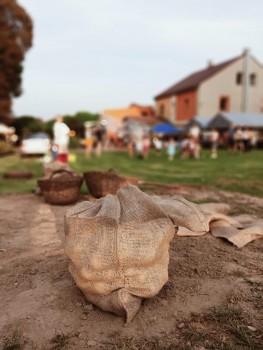 Wykopki w Mokrzeszy 09.09.2023