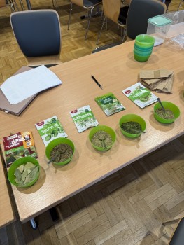 Ferie z GOKiem i Biblioteką_2026