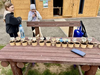 „Gminne sprzątanie Ziemi