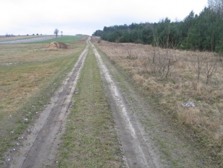 DROGA DOJAZDOWA DO PÓL BARANÓW - KRASICE
