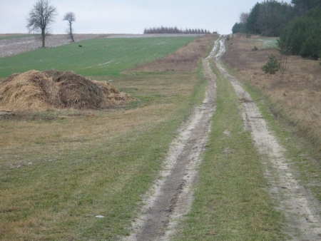DROGA DOJAZDOWA DO PÓL BARANÓW - KRASICE