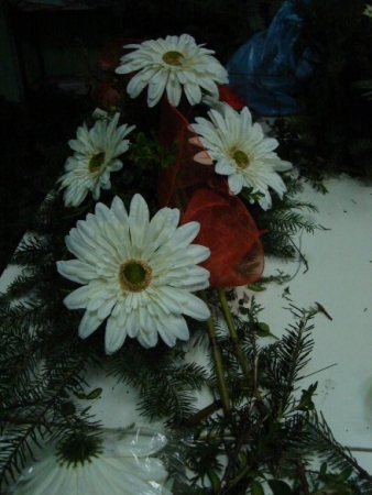 SZKOLEŃ CIĄG DALSZY...